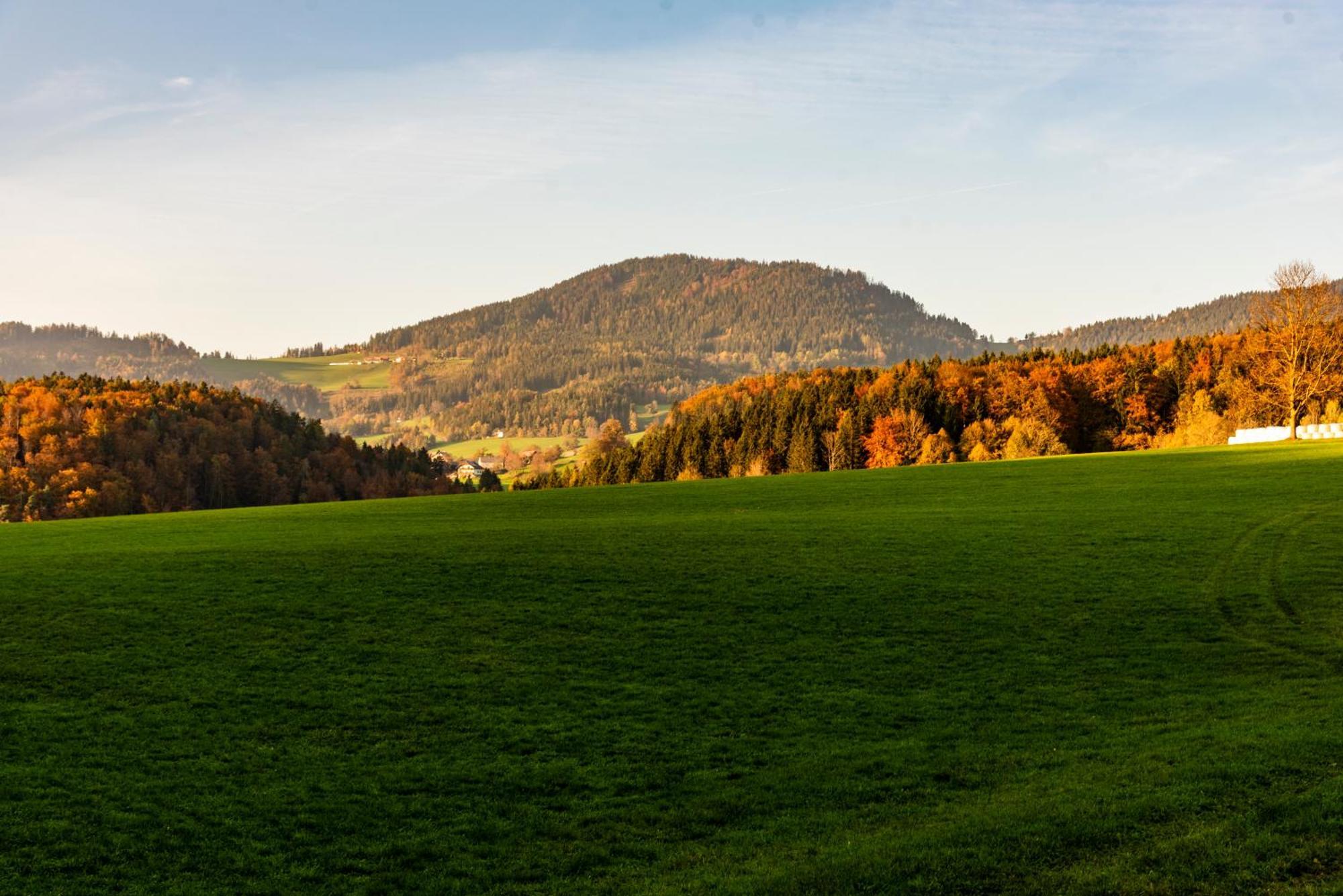 Ferienwohnung Am Labyrinth Semriach Bagian luar foto
